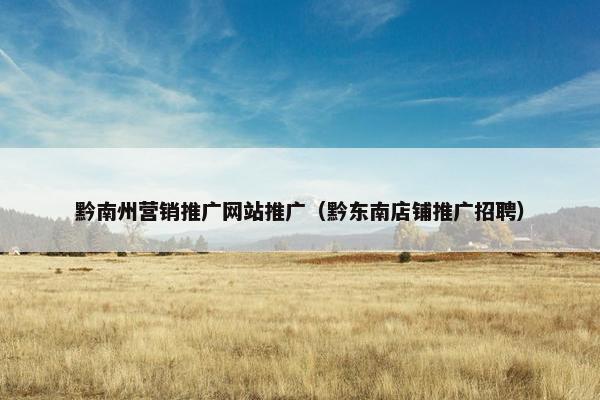 黔南州营销推广网站推广（黔东南店铺推广招聘）