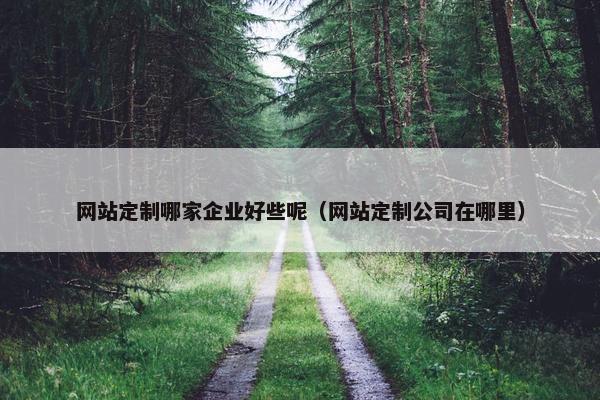 网站定制哪家企业好些呢（网站定制公司在哪里）