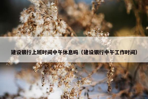 建设银行上班时间中午休息吗（建设银行中午工作时间）