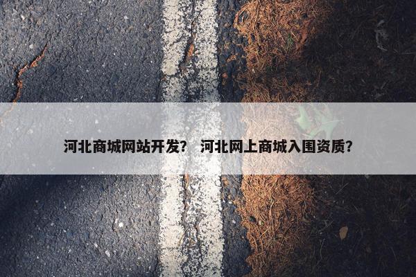 河北商城网站开发？ 河北网上商城入围资质？