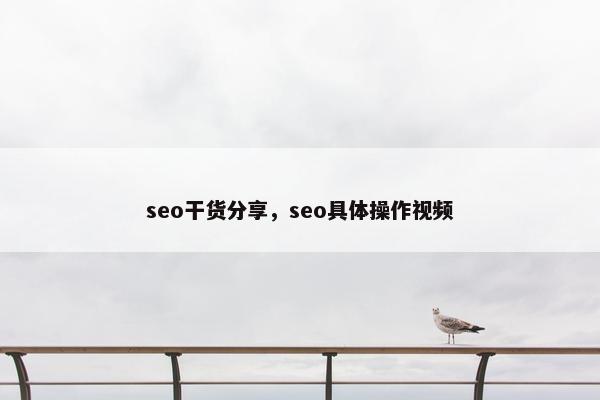 seo干货分享，seo具体操作视频