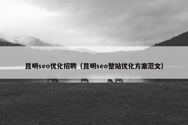 昆明seo优化招聘（昆明seo整站优化方案范文）