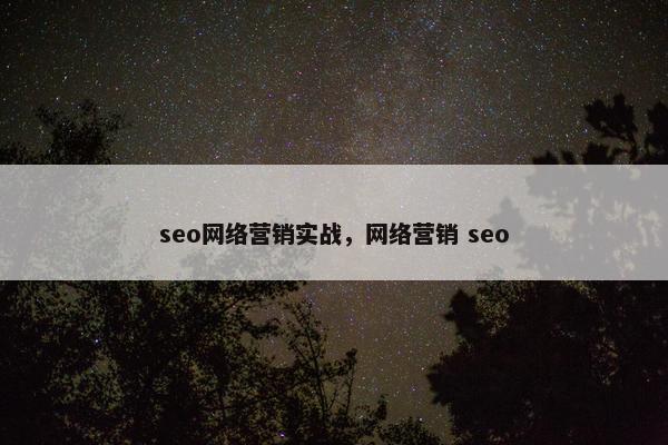seo网络营销实战，网络营销 seo