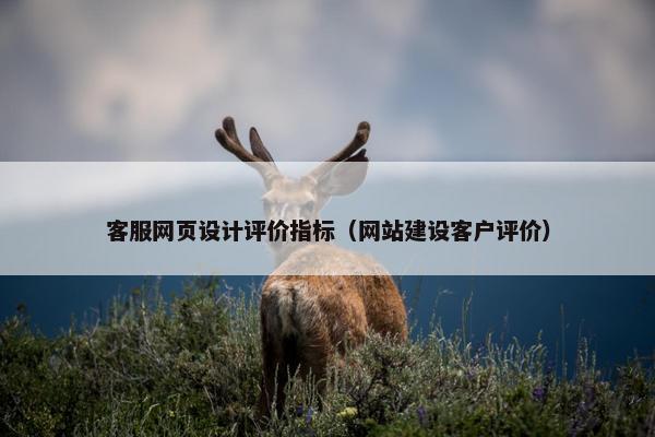客服网页设计评价指标（网站建设客户评价）