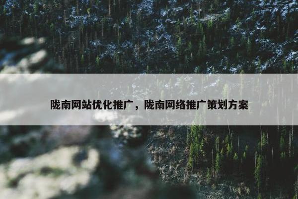 陇南网站优化推广，陇南网络推广策划方案