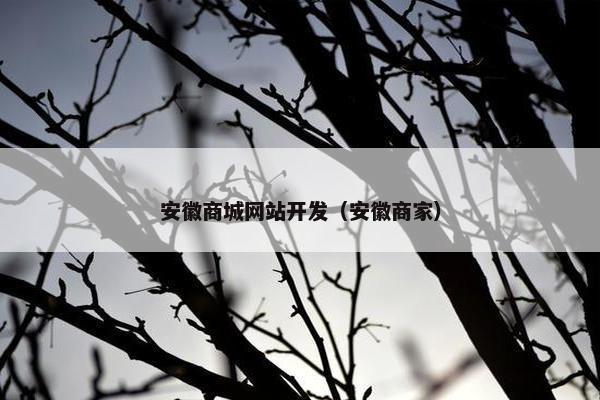 安徽商城网站开发（安徽商家）