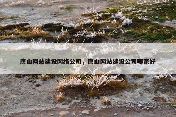 唐山网站建设网络公司，唐山网站建设公司哪家好