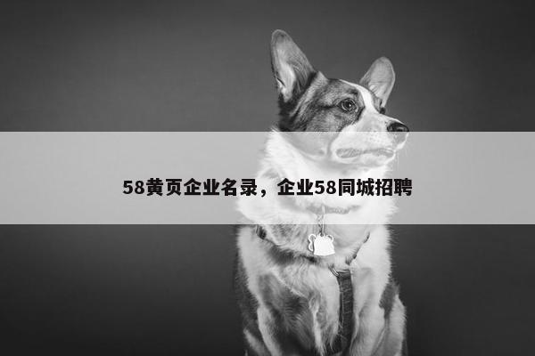 58黄页企业名录，企业58同城招聘