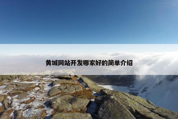 黄城网站开发哪家好的简单介绍