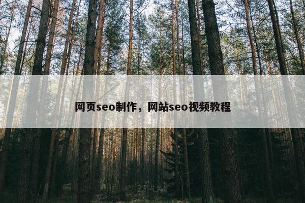 网页seo制作，网站seo视频教程