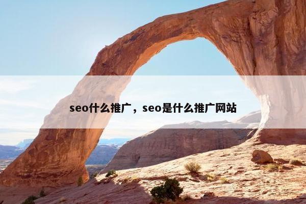 seo什么推广，seo是什么推广网站