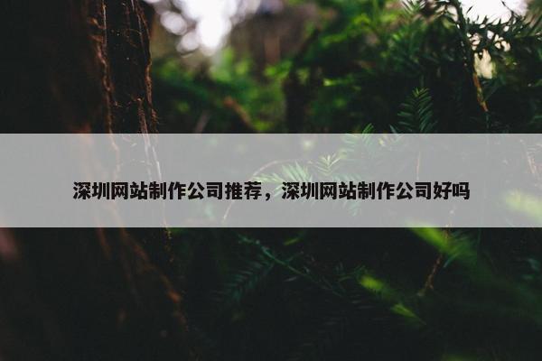 深圳网站制作公司推荐，深圳网站制作公司好吗