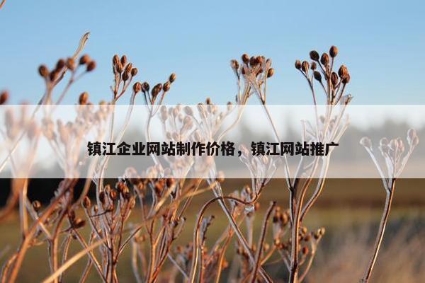 镇江企业网站制作价格，镇江网站推广
