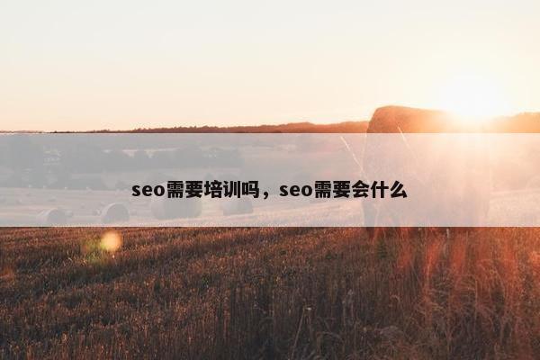 seo需要培训吗，seo需要会什么