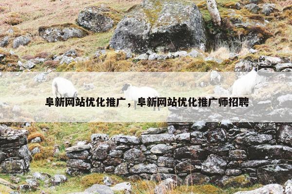 阜新网站优化推广，阜新网站优化推广师招聘