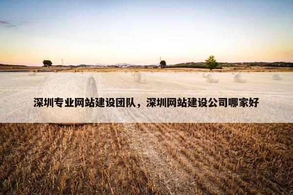 深圳专业网站建设团队，深圳网站建设公司哪家好