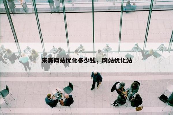 来宾网站优化多少钱，网站优化站
