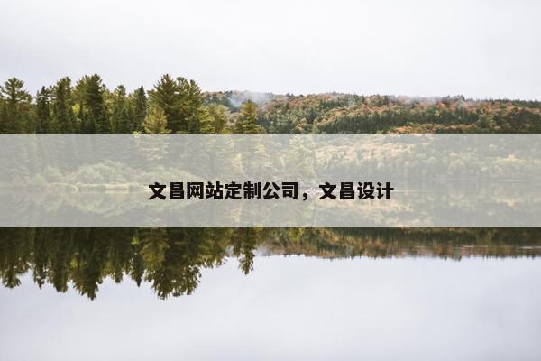 文昌网站定制公司，文昌设计