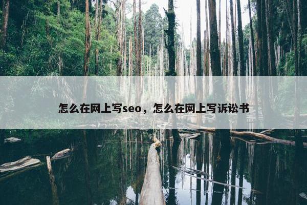 怎么在网上写seo，怎么在网上写诉讼书