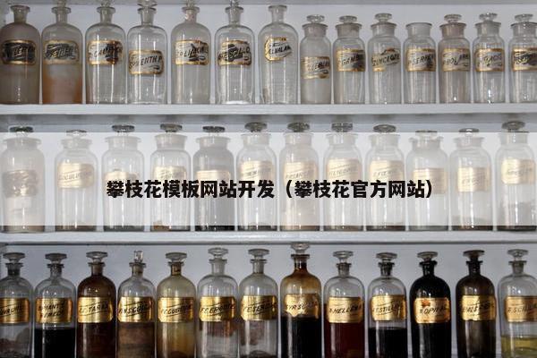 攀枝花模板网站开发（攀枝花官方网站）