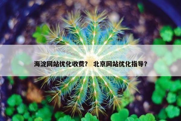 海淀网站优化收费？ 北京网站优化指导？