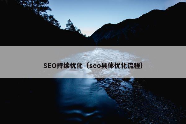 SEO持续优化（seo具体优化流程）