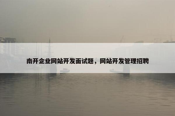 南开企业网站开发面试题，网站开发管理招聘