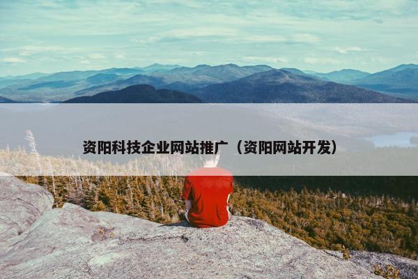 资阳科技企业网站推广（资阳网站开发）