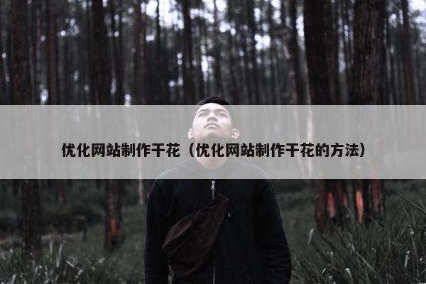优化网站制作干花（优化网站制作干花的方法）