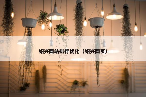 绍兴网站排行优化（绍兴网页）