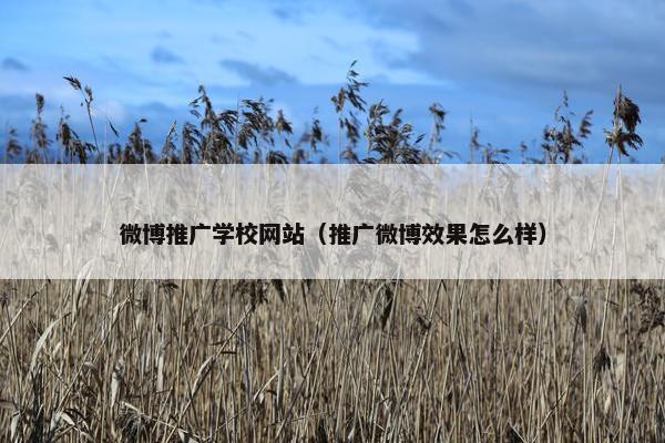 微博推广学校网站（推广微博效果怎么样）