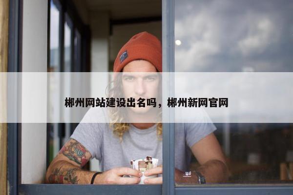 郴州网站建设出名吗，郴州新网官网
