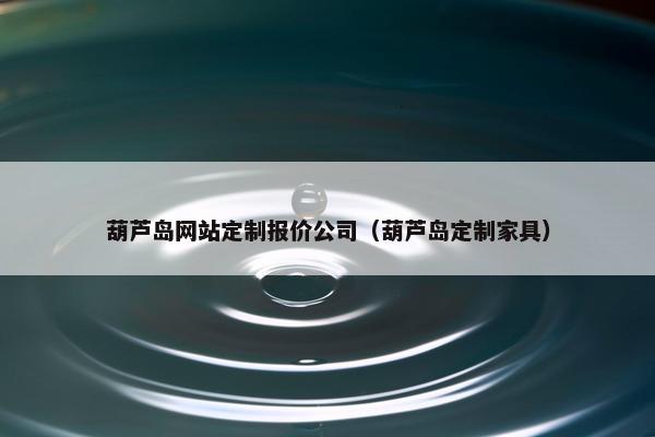 葫芦岛网站定制报价公司（葫芦岛定制家具）
