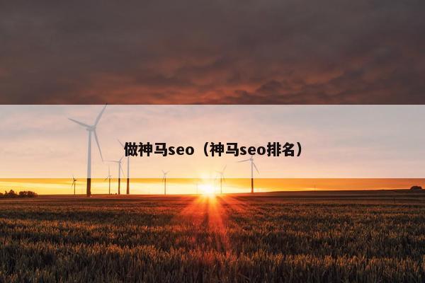 做神马seo（神马seo排名）