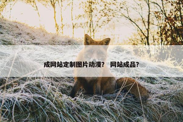 成网站定制图片动漫？ 网站成品？