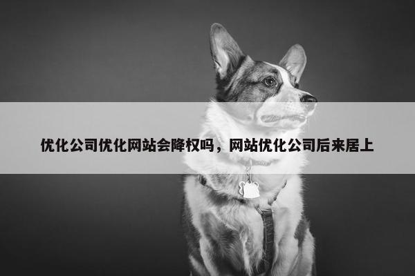 优化公司优化网站会降权吗，网站优化公司后来居上