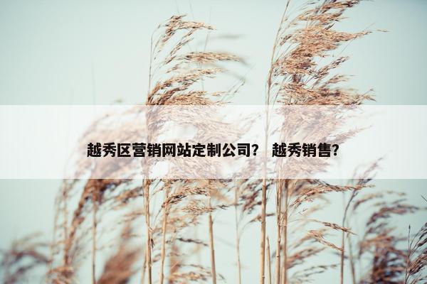 越秀区营销网站定制公司？ 越秀销售？