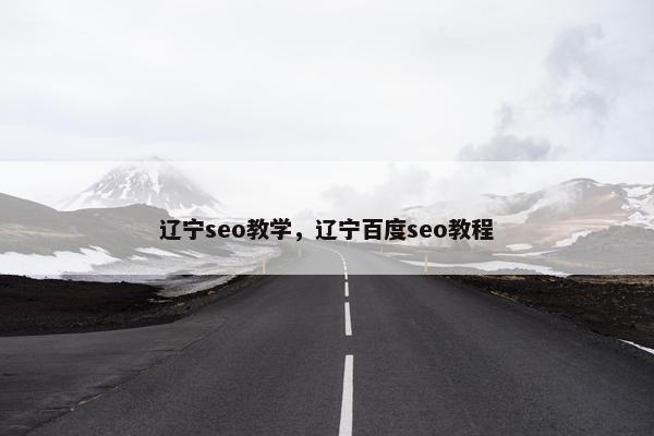 辽宁seo教学，辽宁百度seo教程
