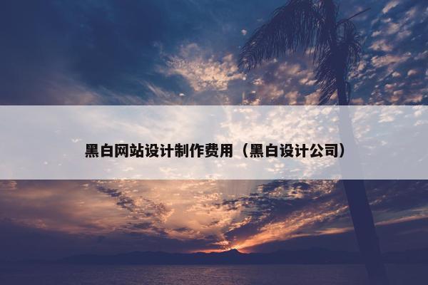 黑白网站设计制作费用（黑白设计公司）