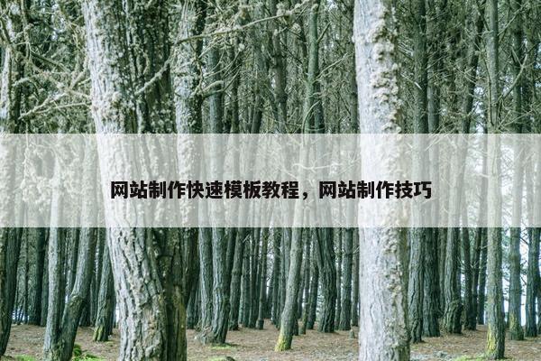 网站制作快速模板教程，网站制作技巧