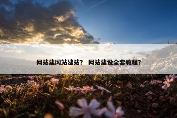 网站建网站建站？ 网站建设全套教程？