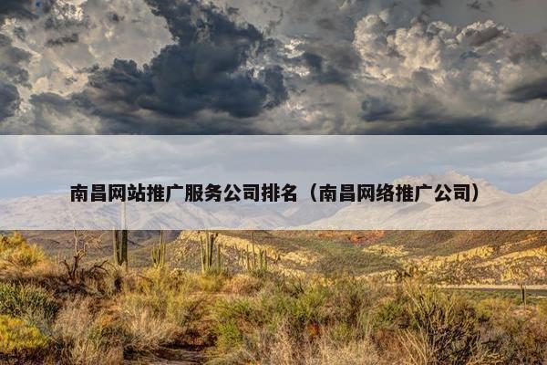 南昌网站推广服务公司排名（南昌网络推广公司）