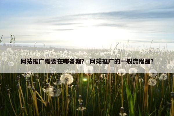 网站推广需要在哪备案？ 网站推广的一般流程是？