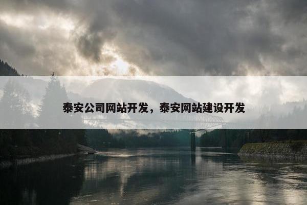 泰安公司网站开发，泰安网站建设开发