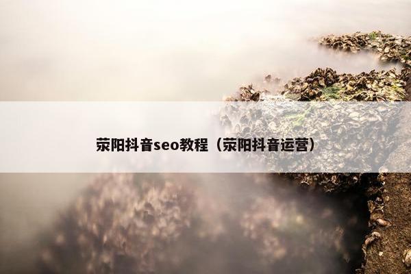 荥阳抖音seo教程（荥阳抖音运营）