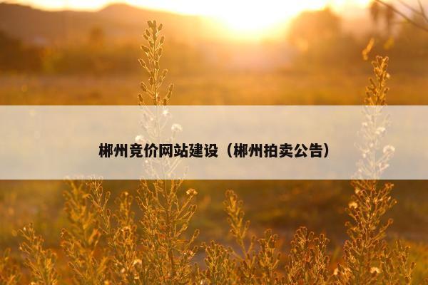 郴州竞价网站建设（郴州拍卖公告）