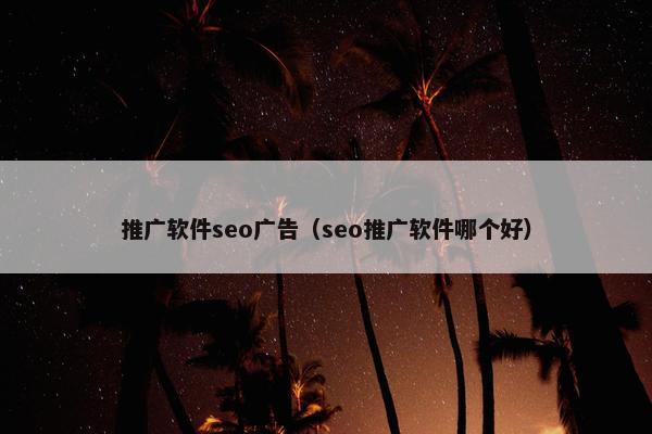 推广软件seo广告（seo推广软件哪个好）
