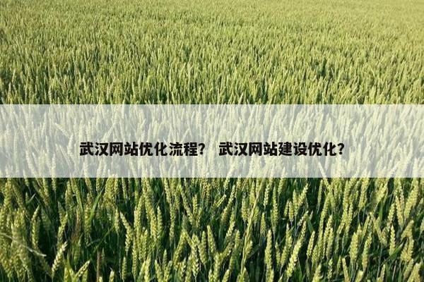 武汉网站优化流程？ 武汉网站建设优化？