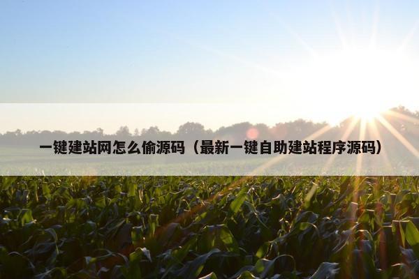一键建站网怎么偷源码（最新一键自助建站程序源码）