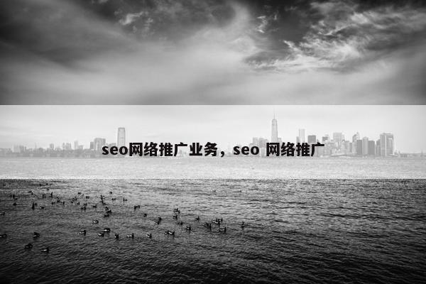 seo网络推广业务，seo 网络推广